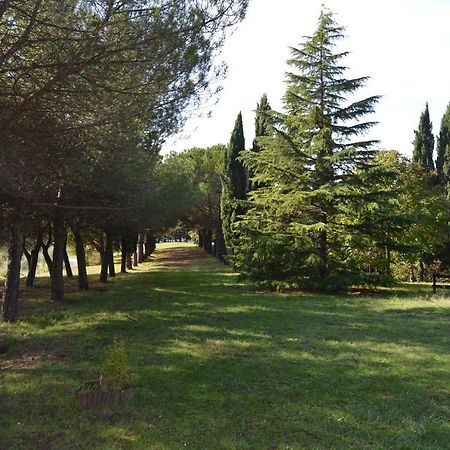 Agriturismo I Muri Monte Santa Maria Tiberina Экстерьер фото