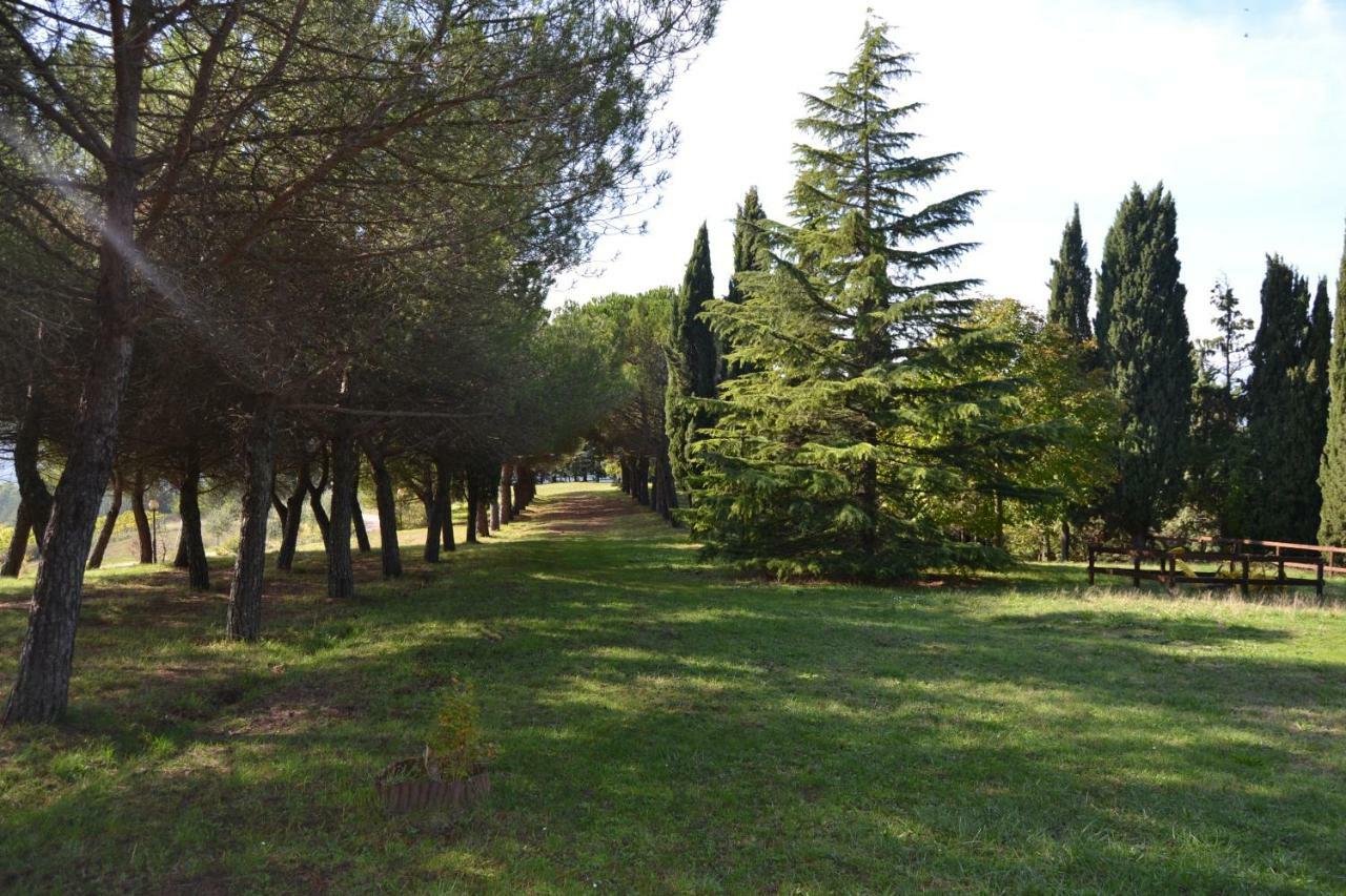 Agriturismo I Muri Monte Santa Maria Tiberina Экстерьер фото